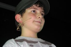 IMG_0547