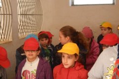 DSCN6426
