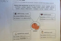 1_airc-coreggia_9