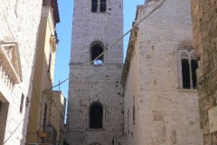 P1130448