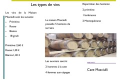 Diapositiva17