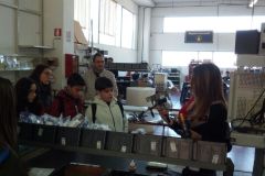 IMG-20171103-WA0011