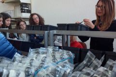 IMG-20171103-WA0019
