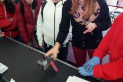 IMG-20171103-WA0025