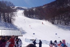 IMG_4961