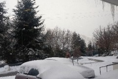 IMG_4981