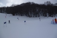 CampoFelice201231