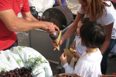 IMG_9056