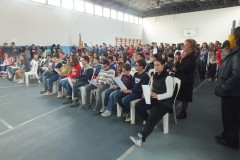 DSCF4384