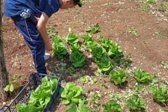 WhatsApp_Image_2023-05-19_at_17.33.38_1-min