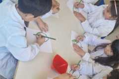 laboratori