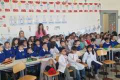 primaria-1