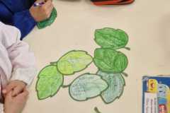 primaria-5