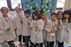 primaria-7