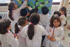 primaria-8