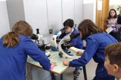 IMG-20200114-WA0010