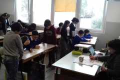 IMG-20200113-WA0007