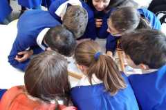 IMG-20200113-WA0034
