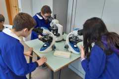 IMG-20200113-WA0041