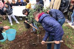 FESTA-DELL-ALBERO-2017_11