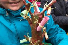 FESTA-DELL-ALBERO-2017_12
