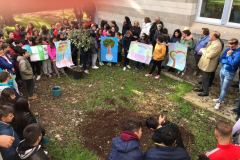 FESTA-DELL-ALBERO-2017_17