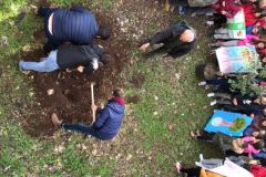FESTA-DELL-ALBERO-2017_19