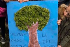 FESTA-DELL-ALBERO-2017_2