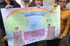 FESTA-DELL-ALBERO-2017_26
