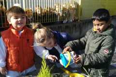IMG-20181130-WA0025