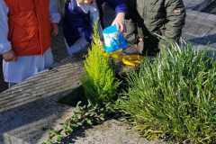 IMG-20181130-WA0029