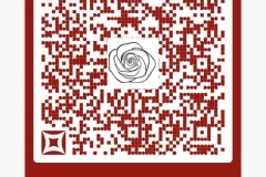 WhatsApp-Image-2024-06-05-at-11.50.11