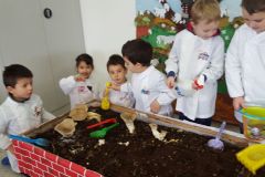 IMG-20160122-WA0005