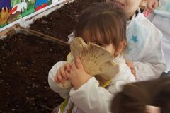 IMG-20160122-WA0010