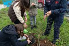 IMG-20211125-WA0031