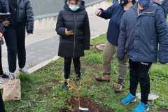 IMG-20211125-WA0036