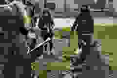 03975b45-62c7-4ace-ae6b-799112d5c973