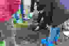 2f3bf1a8-2487-4e70-ba78-b7ccf9403ea5