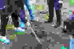 3fdb41c3-0670-4e87-9b11-6e52b915e4b1