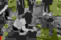 42c04c18-f008-4856-bf25-828627bf62f5