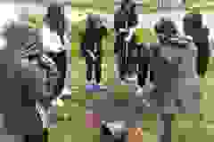 82685ac7-8e01-4fda-b4a9-f398d465d9be