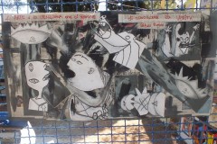 1_DSCF6519