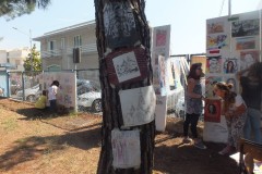 DSCF6511