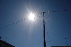 DSC07253