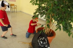 DSC00153