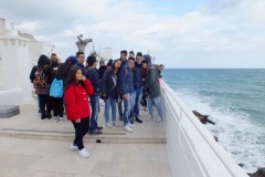 DSCF9779