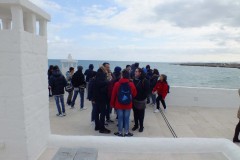 DSCF9781