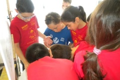 1_DSCN4949