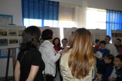 1_DSCN4956