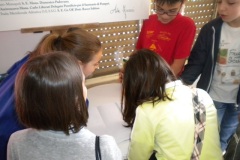 1_DSCN4977